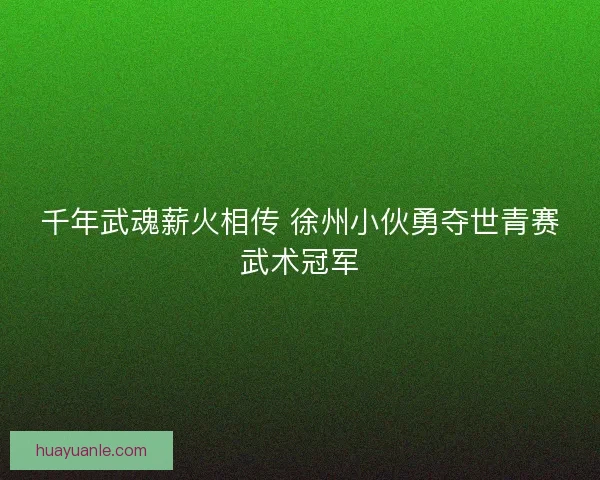 千年武魂薪火相传 徐州小伙勇夺世青赛武术冠军