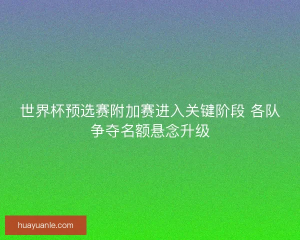 世界杯预选赛附加赛进入关键阶段 各队争夺名额悬念升级