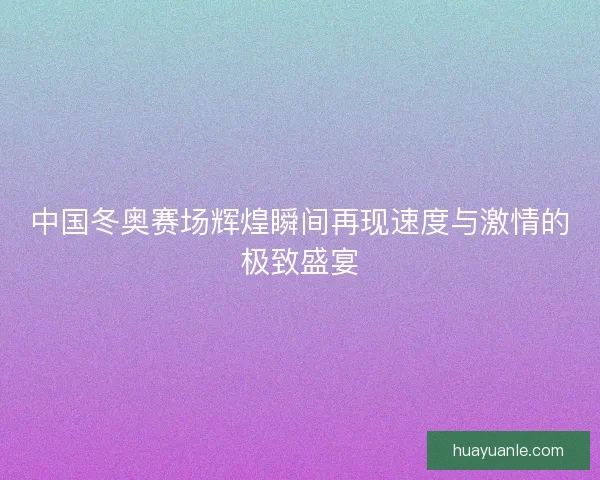 中国冬奥赛场辉煌瞬间再现速度与激情的极致盛宴